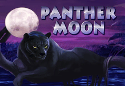 panther moon