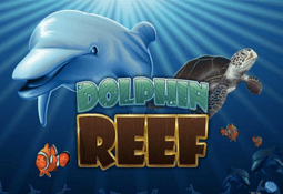 dolphin reef